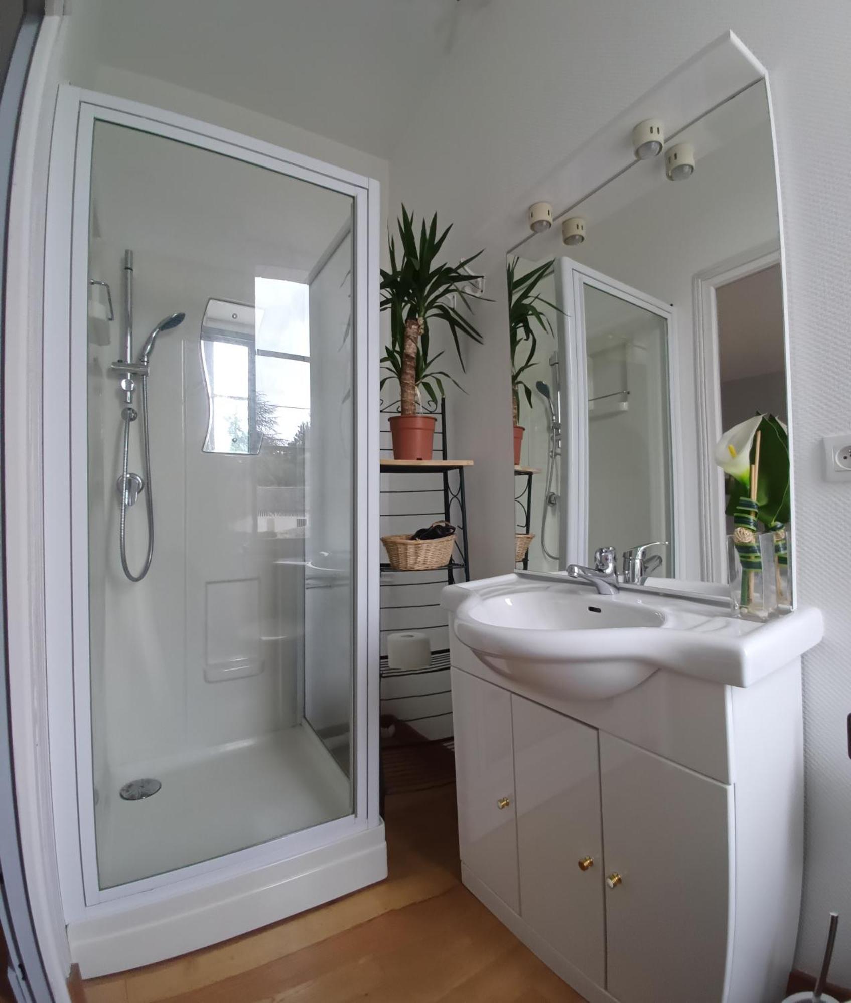 Le Jardin Des Lys - Chambre D'Hote Ou Appartement La Roche-Posay Pokoj fotografie